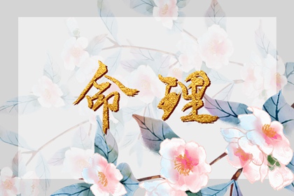 日历年,日历黄道吉日2026年,日历查询年吉日